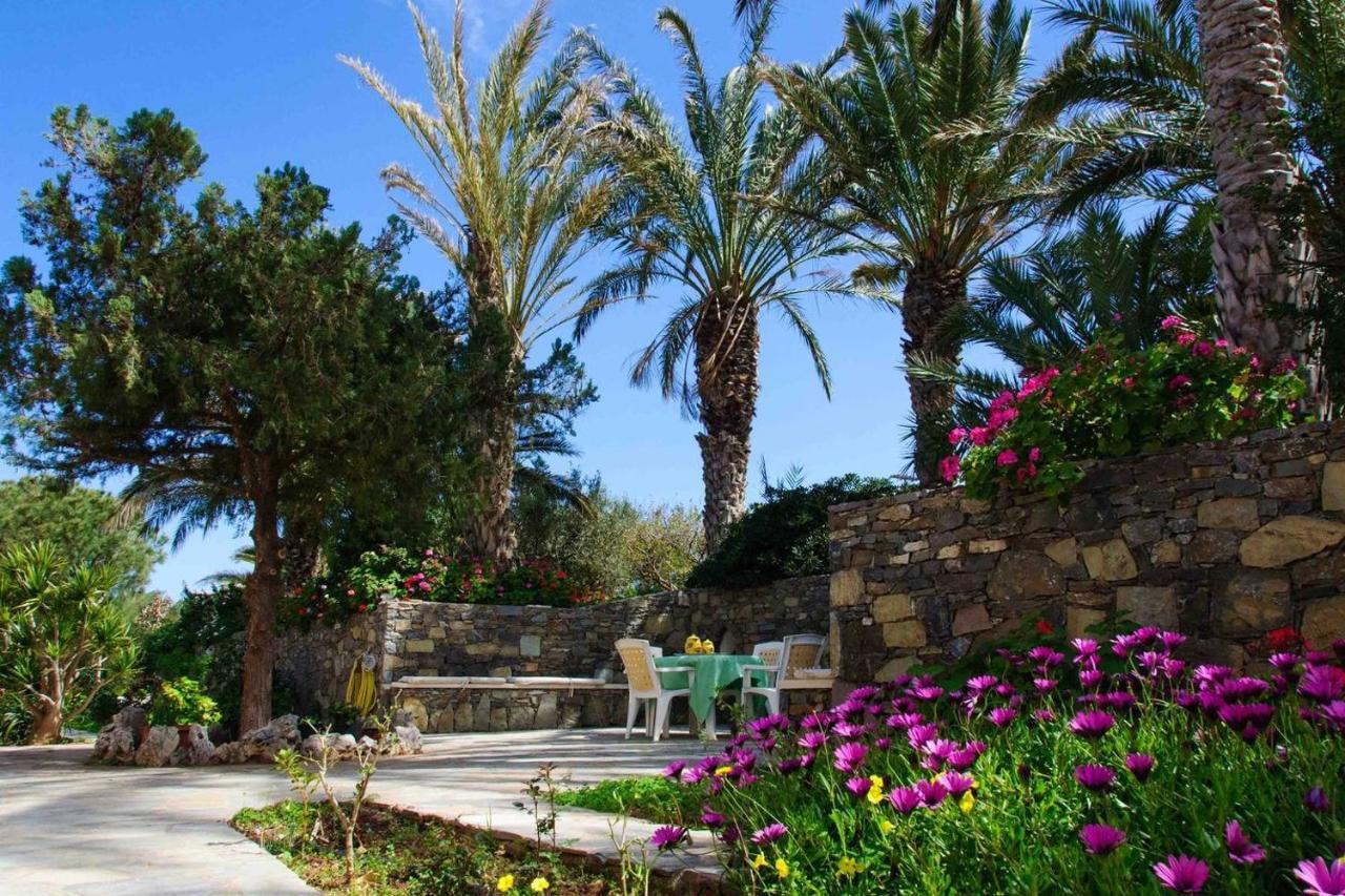 Bougainvillea House In Crete Sitia  Esterno foto
