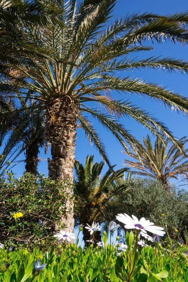 Bougainvillea House In Crete Sitia  Esterno foto